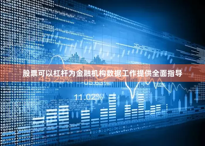 股票可以杠杆为金融机构数据工作提供全面指导