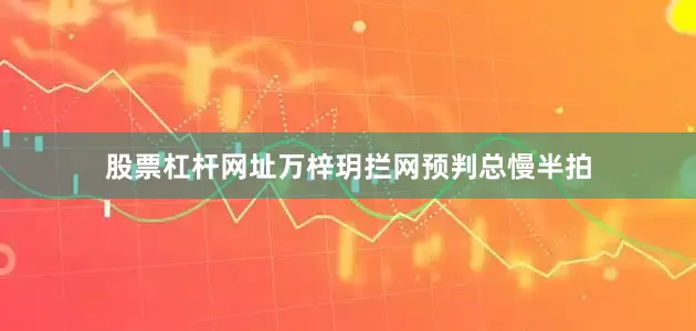 股票杠杆网址万梓玥拦网预判总慢半拍